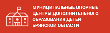 Муниципальные опорные центры дополнительного образования