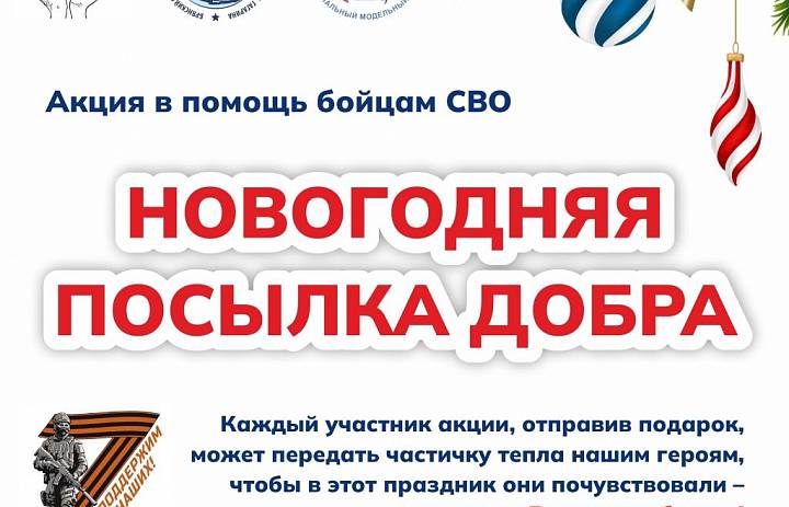 Акция в помощь бойцам СВО "Новогодняя посылка добра"